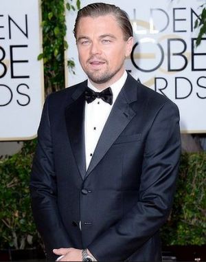 2014 Golden Globes - Red Carpet - Leonardo DiCaprio